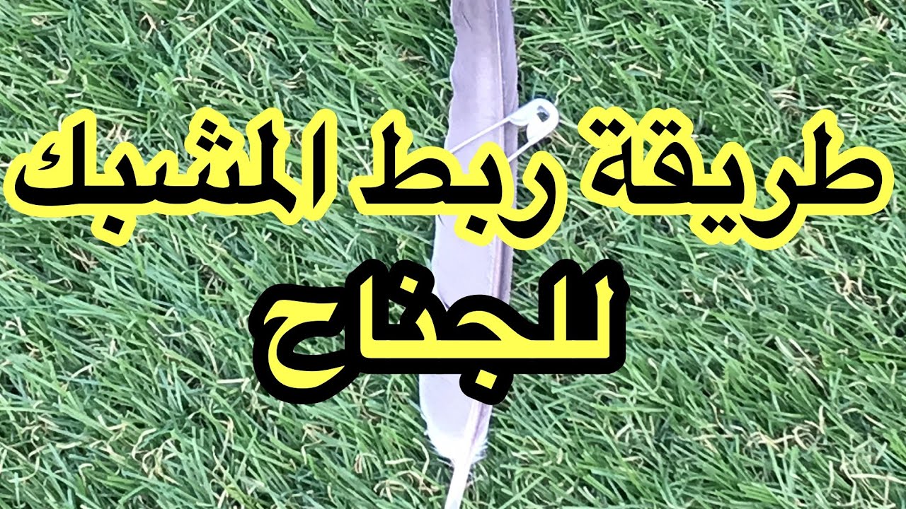 طريقة ربط المشبك لتخفيف الطيران و التدريب للحمام الباكستاني