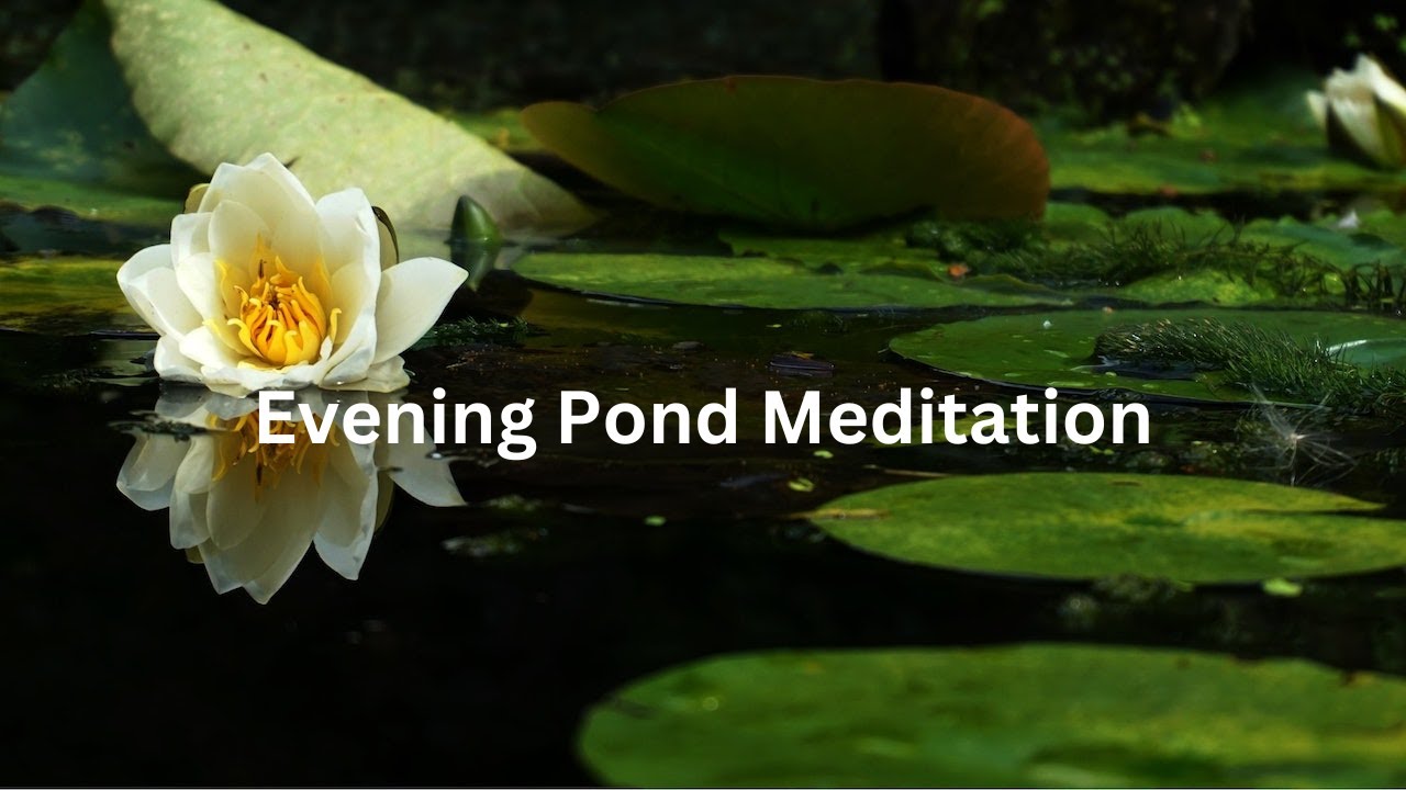 Evening Pond Meditation