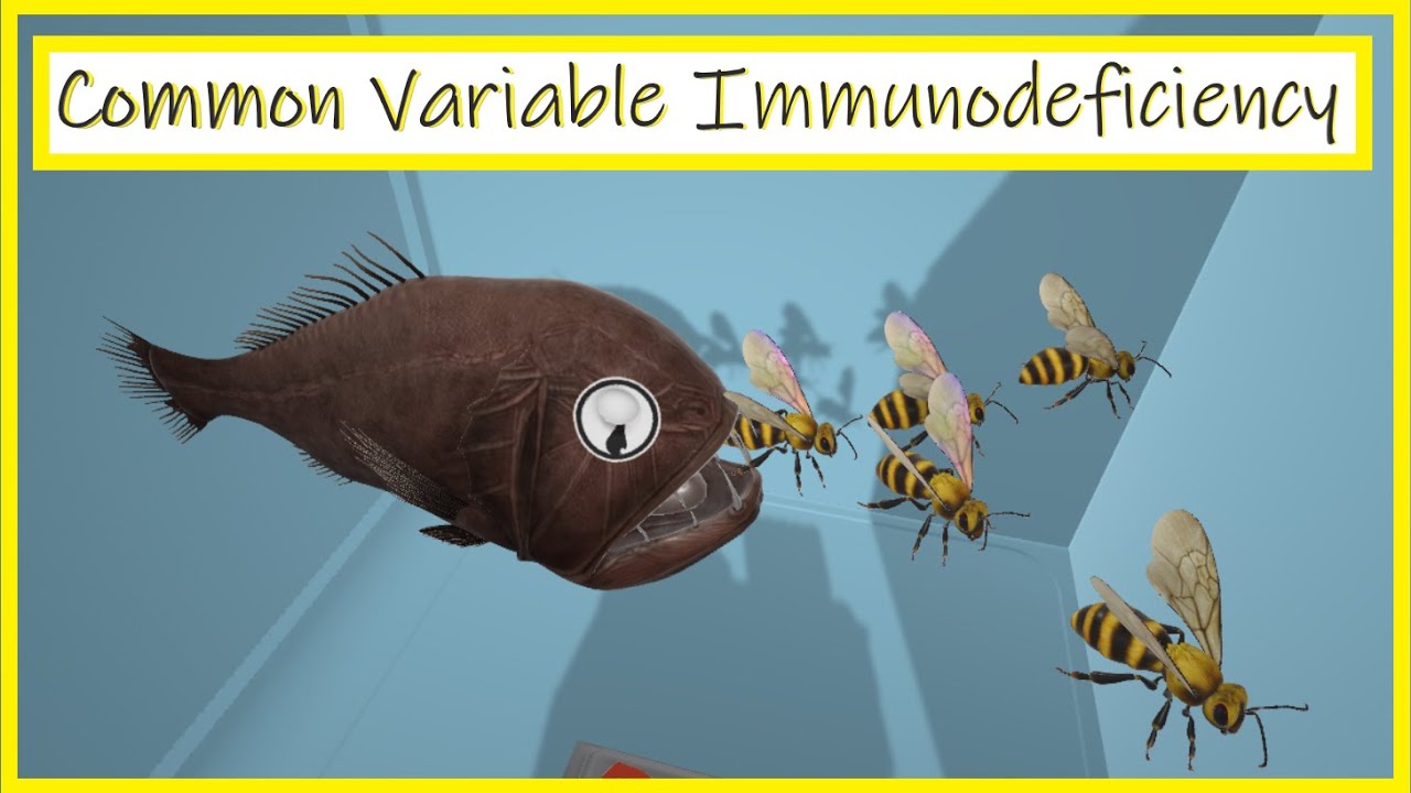 Common Variable Immunodeficiency (CVID) - Mnemonic for USMLE