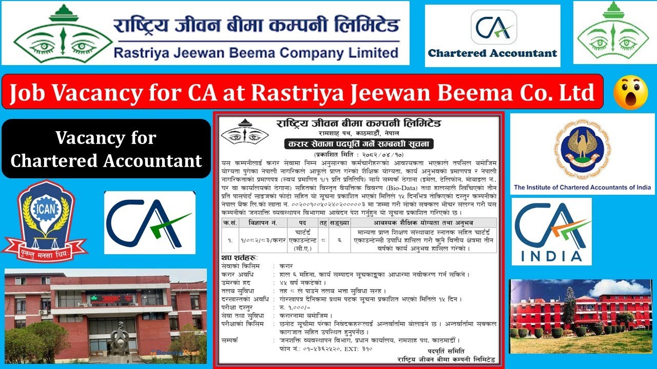 CA Job Vacancy at Rastriya Beema Co. Ltd |Vacancy 2082 | Jobs for CA in Nepal | Chartered Accountant