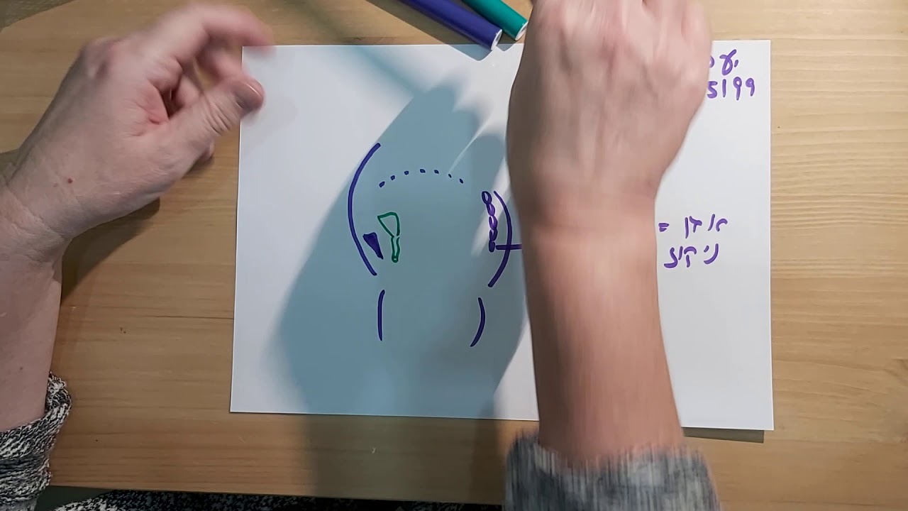 אנטומיה בסיסית רצפת האגן