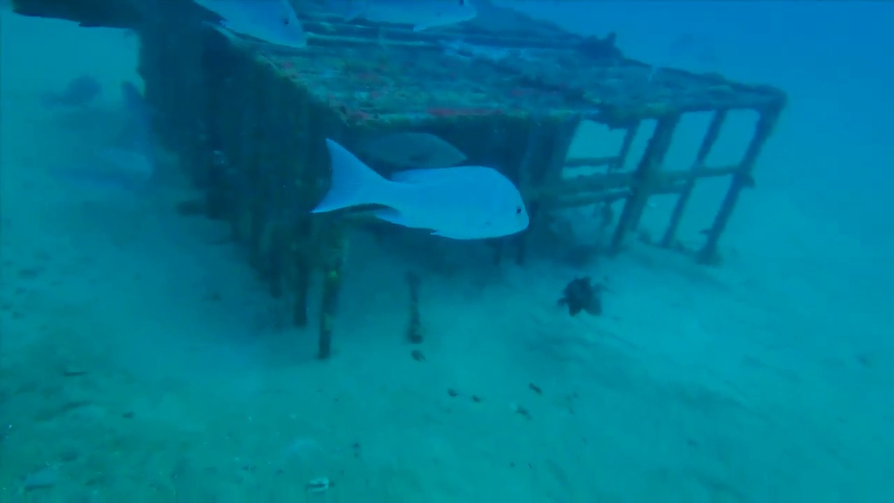 Artificial Reefs South of Pensacola - StrikeLines Fishing Charts