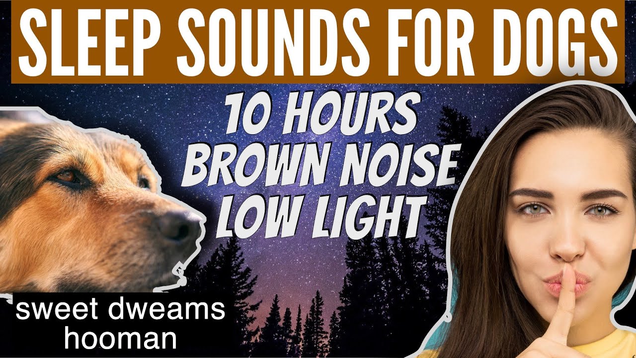 Brown Noise for Dogs - NO ADS - Help your dog SLEEP!