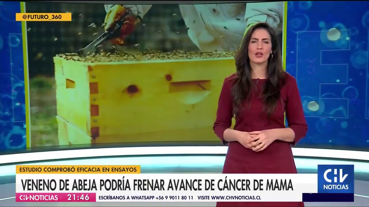Molécula encontrada en el veneno de las abejas mostró ser eficaz contra el cáncer de mama