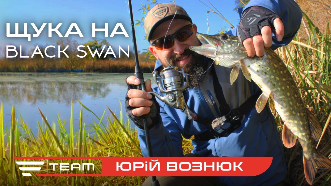ЩУКА НА ГАЧКУ? Осіння рибалка на Гуйві з Favorite Black Swan! 🎣🔥