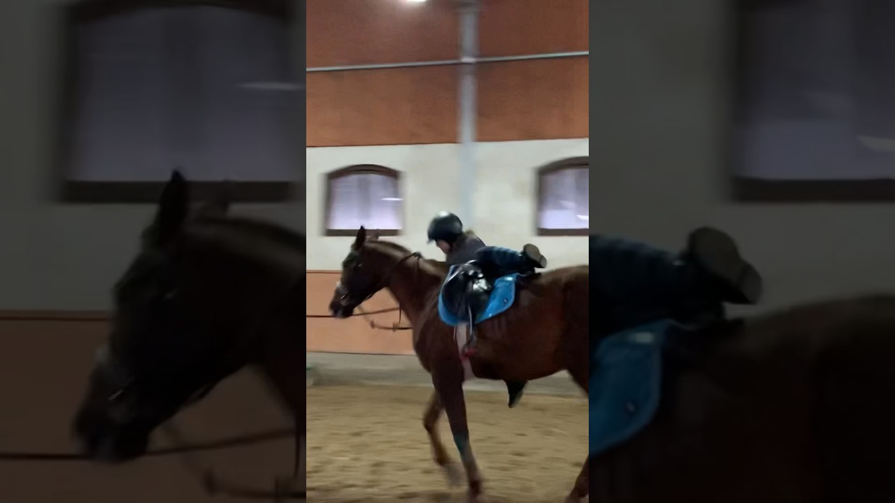 Upadek z konia, pierwszy skok w życiu 🤭⚡️ 