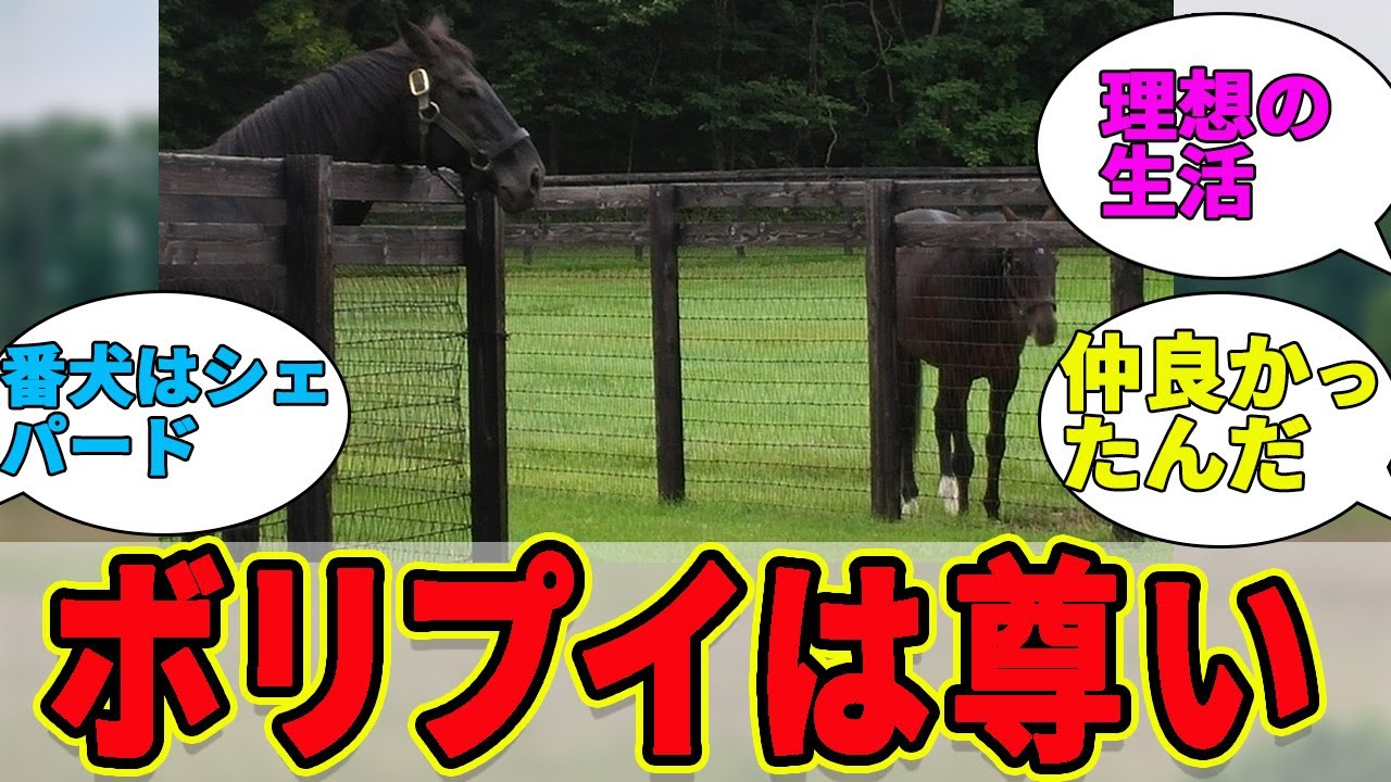 『ボリクリとプイは警備員付きの一軒家に住んでいた！？』に対するみんなの反応集