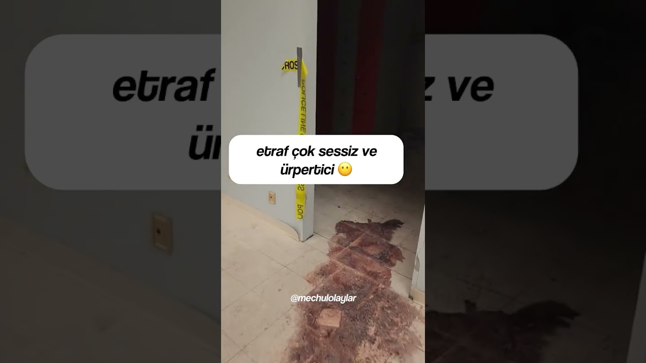 Yıllar &ouml;nce terk edilmiş &uuml;rpertici Avm