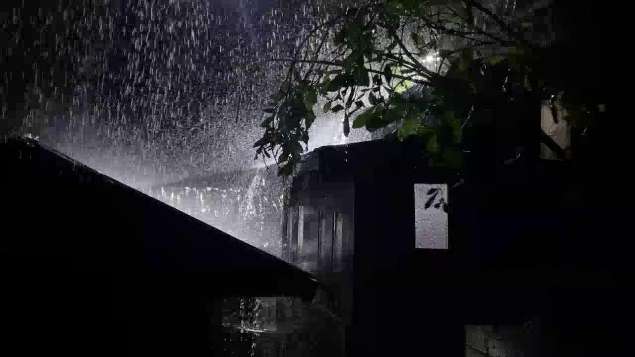 Rain Sounds for Sleeping 🌧️ Heavy Tin Roof Rain