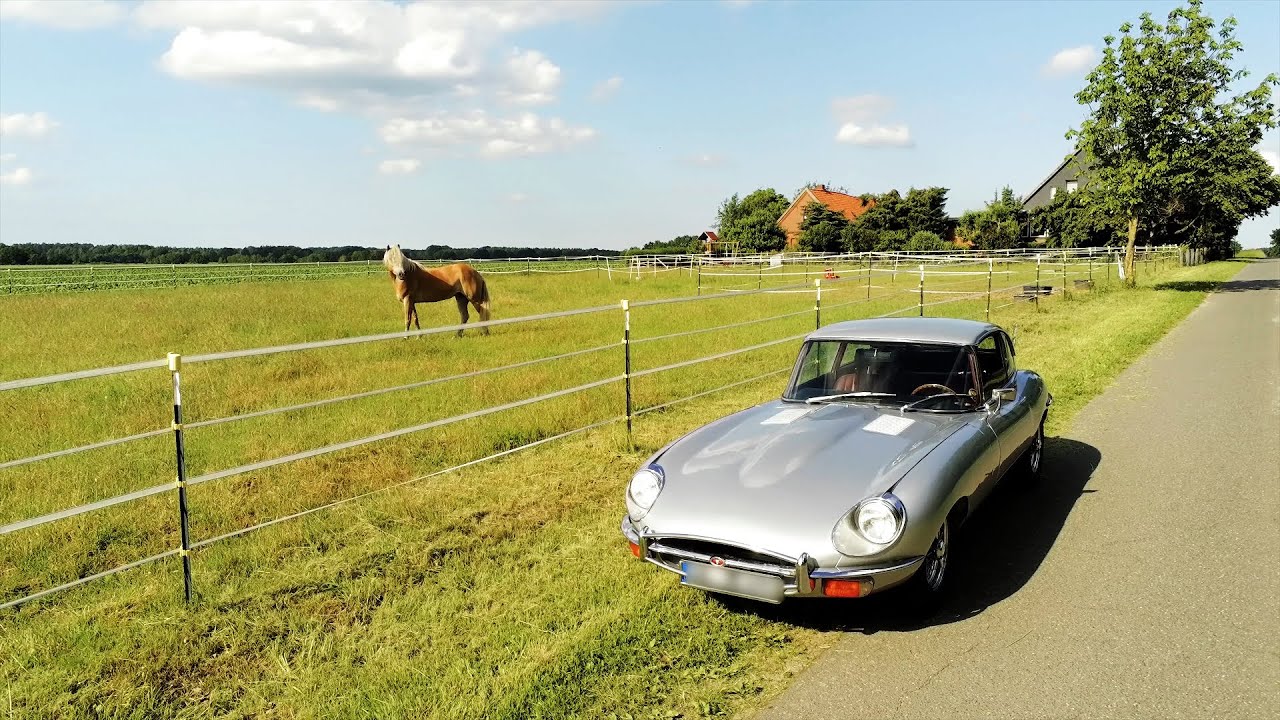 Jaguar E-Type - CHARM & LIFEBLOOD