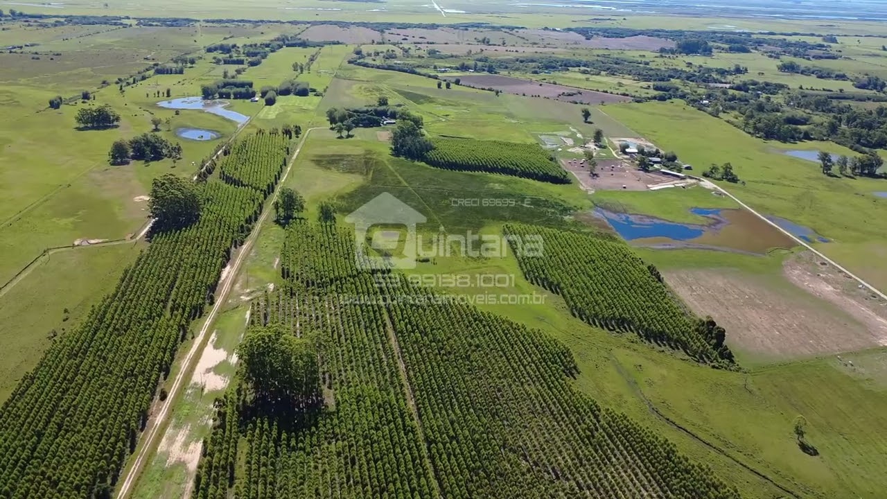 Venda Rio Grande 50 hectares