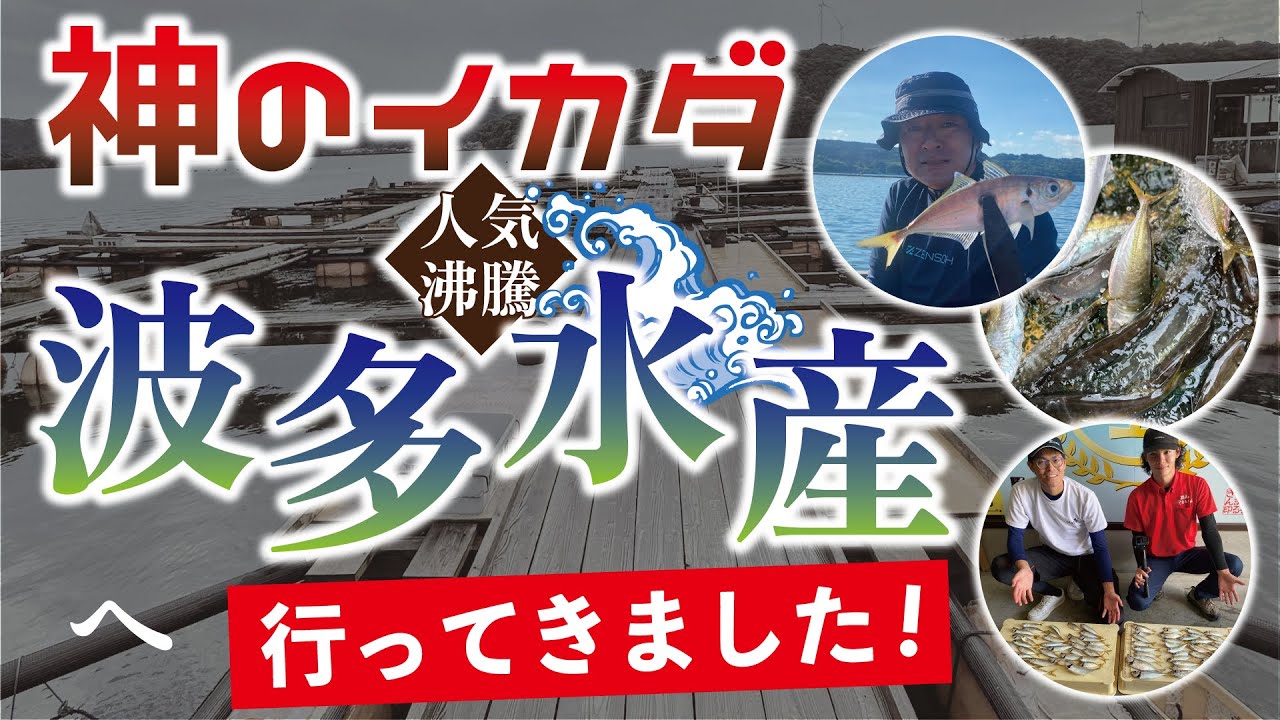 【神のイカダ】波多水産に行ってきた！【つり具のまるきん釣り情報】