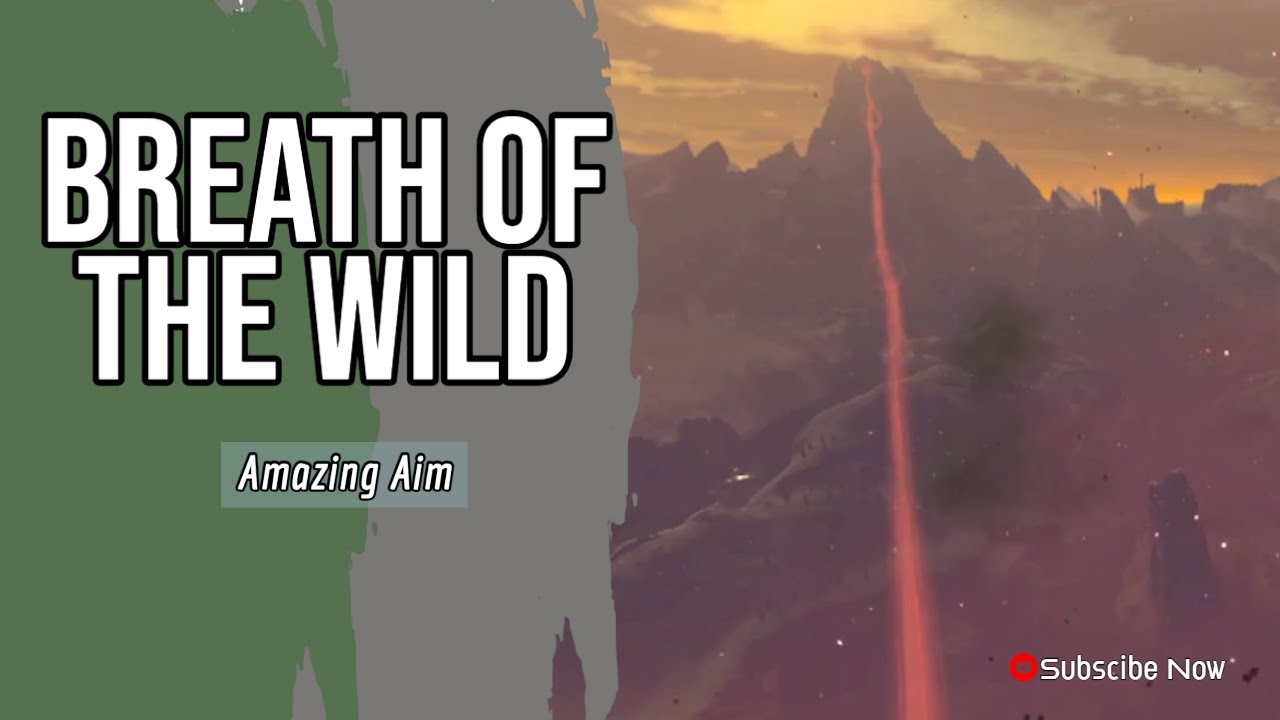 Amazing Aim! | The Legend of Zelda: Breath Of The Wild[96]