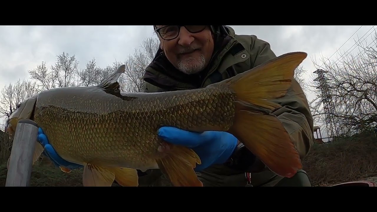 Japan power 🇯🇵 esame superato#shortvideo #shorts #adda #fishing #pescasportiva #angler #daiwa 