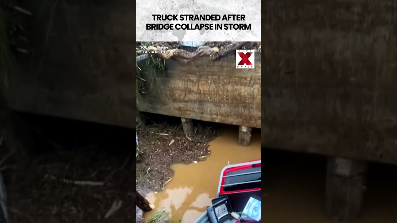 Truck stuck after bridge collapse in New Zealand storm | NewsX World