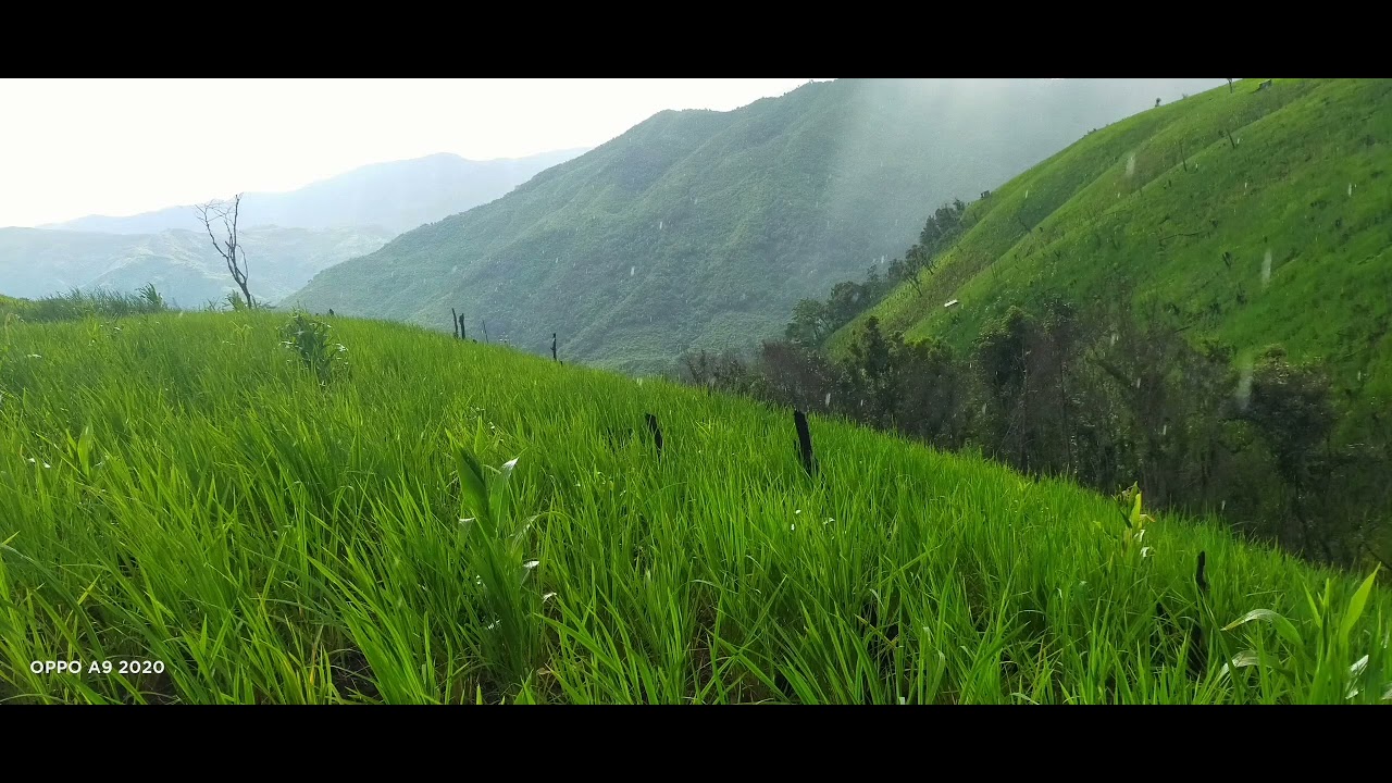 Thlarau lam zai