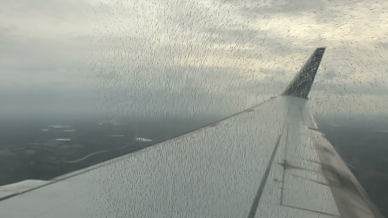 Delta Airlines | Boeing 737-800 | Main Cabin | EWR-ATL | Landing in ATL