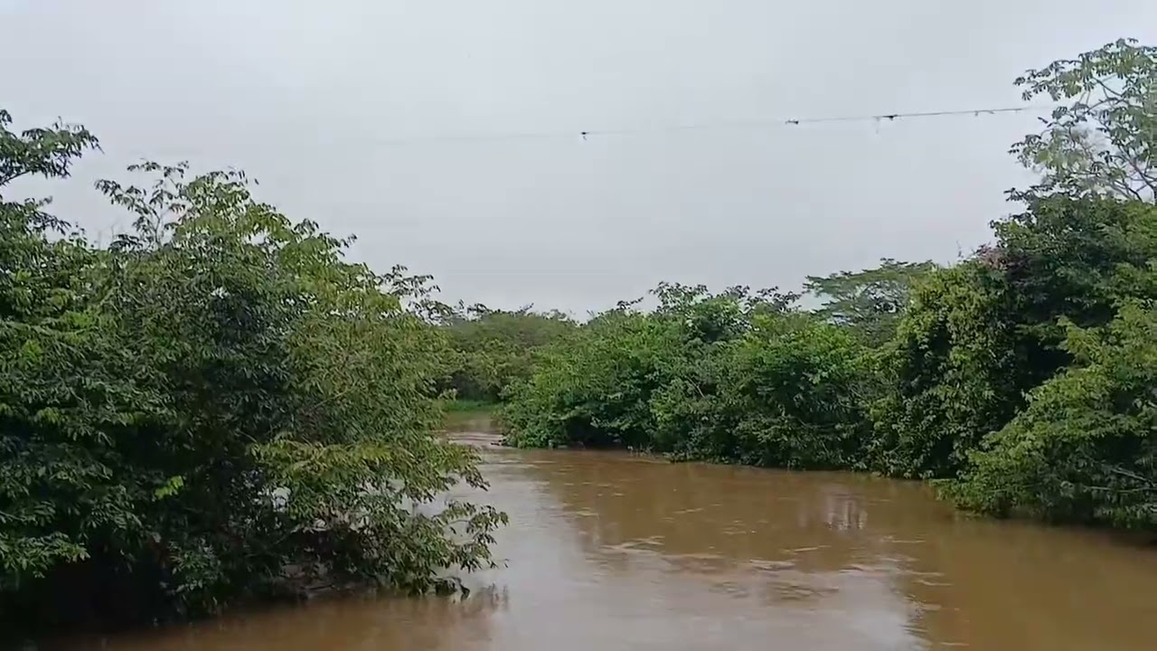 28 de fevereiro de 2026