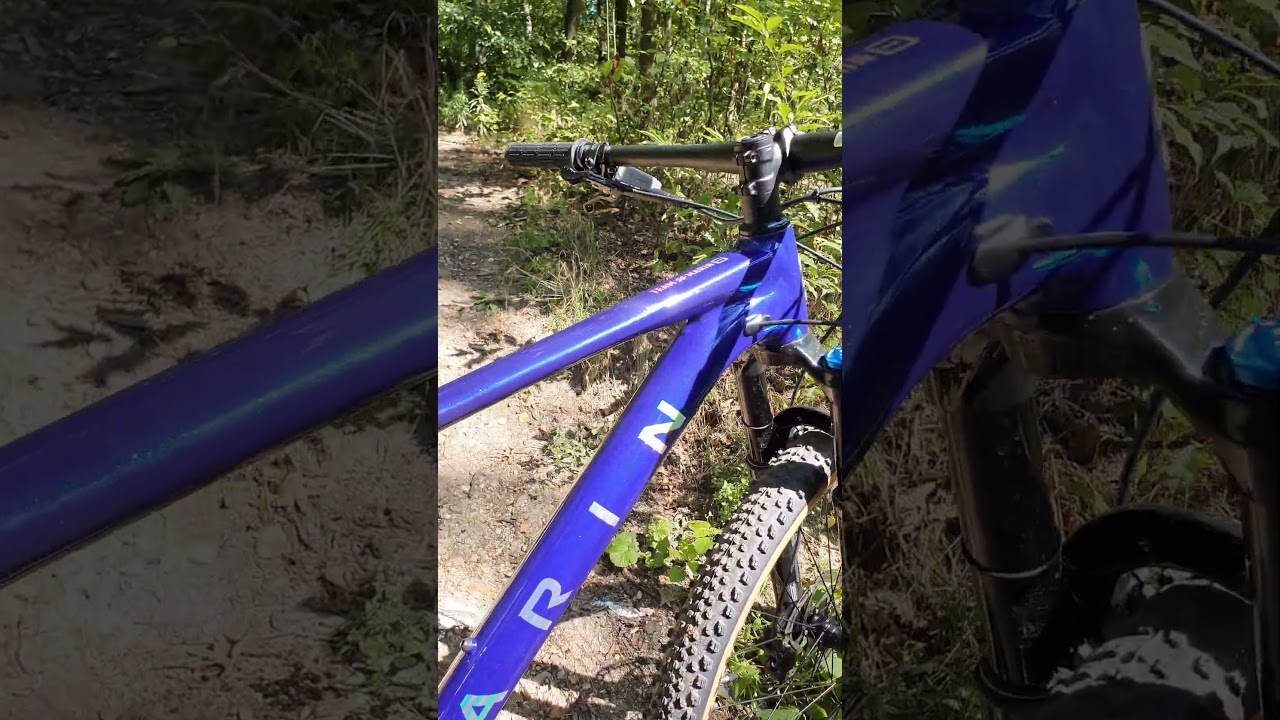 Team Marin 2 2024, czyli esencja downcountry #shorts
