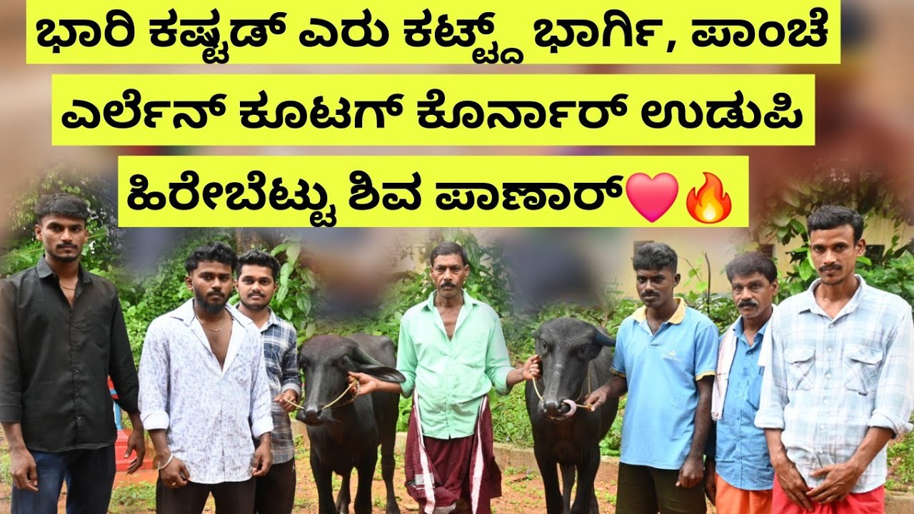 35 ಸಲ ಸೆಮಿಟ್ಟೇ ಸೋಲ್ತ! ಜಾಸ್ತಿ ಸೋಲ್ತಿನ ನಂದಳಿಕೆ ದೊಟ್ಟುಗು! Udupi Hirebettu Shiva Panar Kambala History