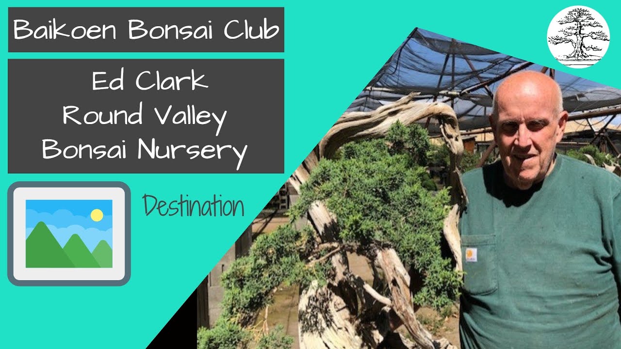 Ed Clark - Round Valley Bonsai Nursery - Baikoen Bonsai Club - Safer @ Home Bonsai Series