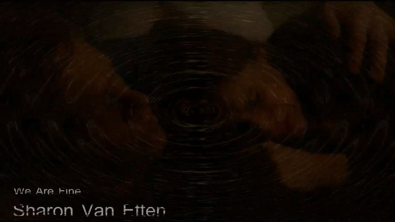 Sharon Van Etten - We Are Fine. [Subtitulado Español/Lyrics]