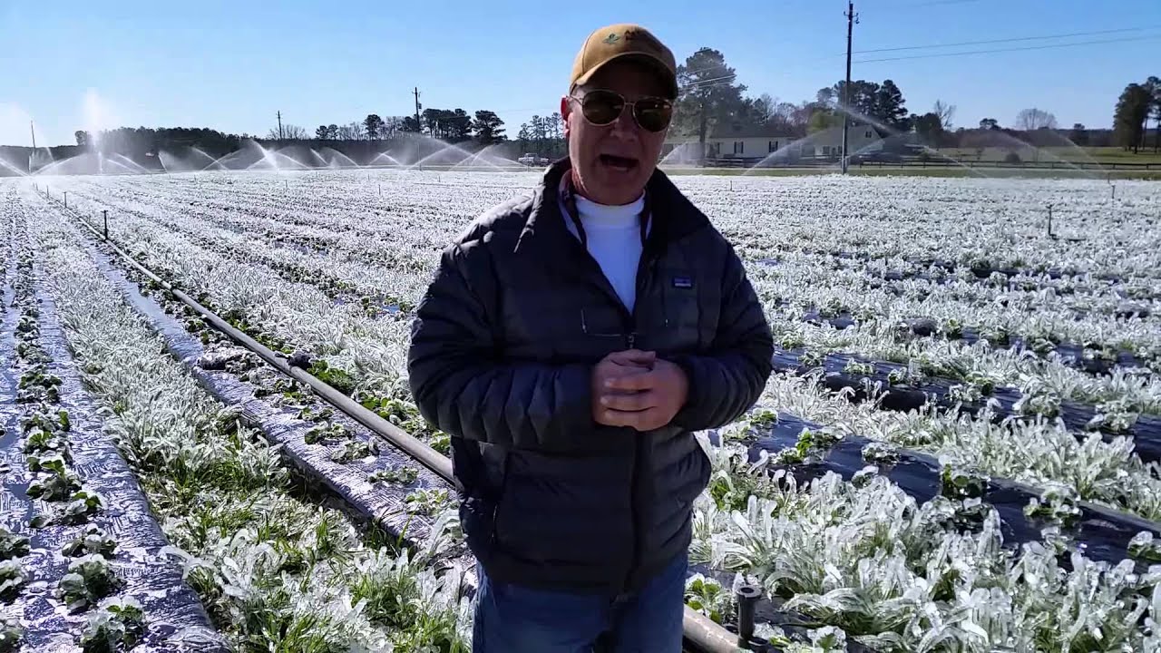 Frost protection.