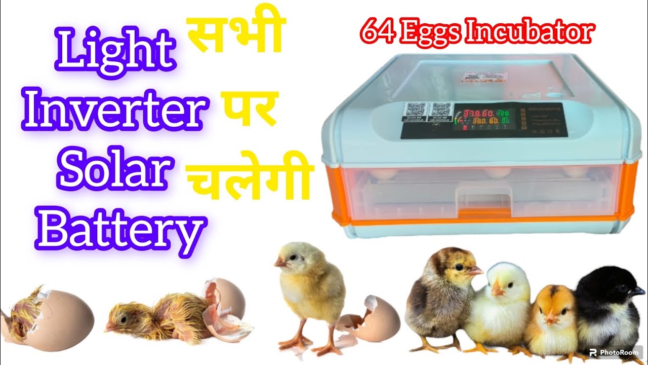 64 Eggs Incubator Fully Automatic very low price best Incubator AC DC  MODEL