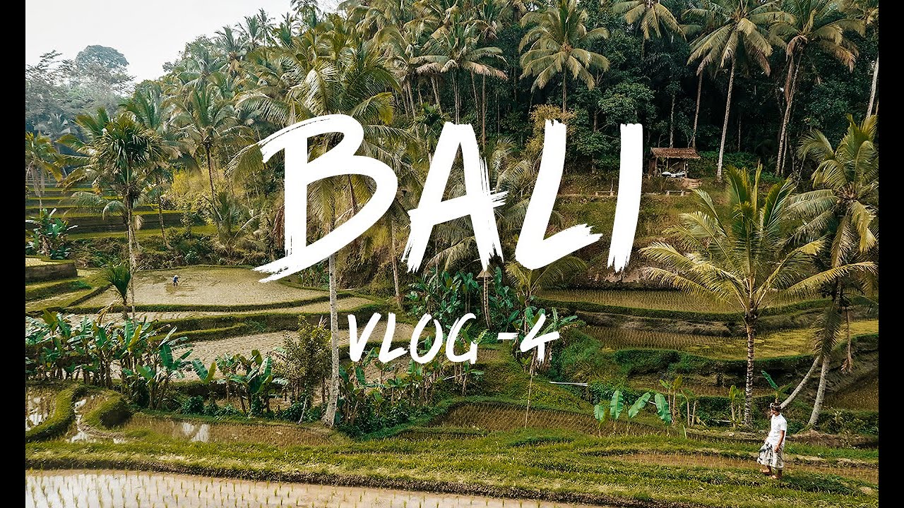 Vlog 4: Arrozales Tegalalang, Pura Gunung Kawi y Pura Tirta Empul | #BALI