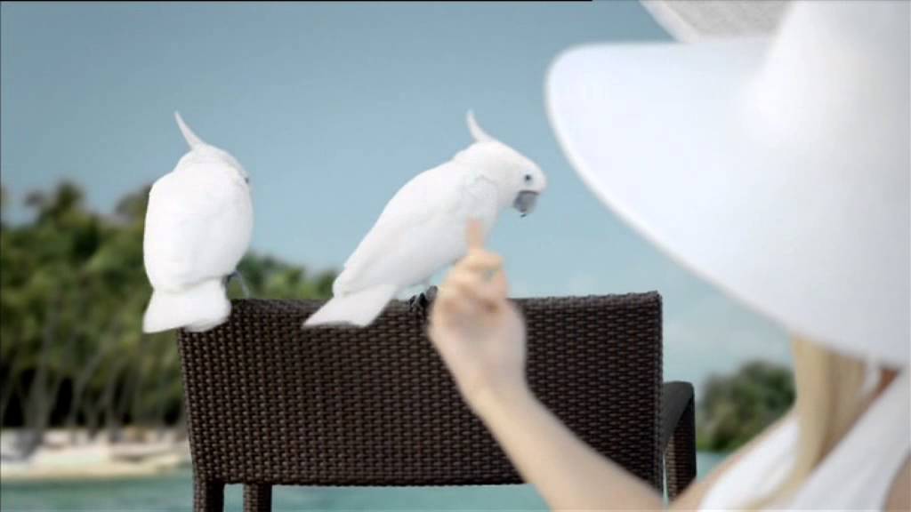 Rocher - tropisch mit weißen Papageien - Werbung 2012