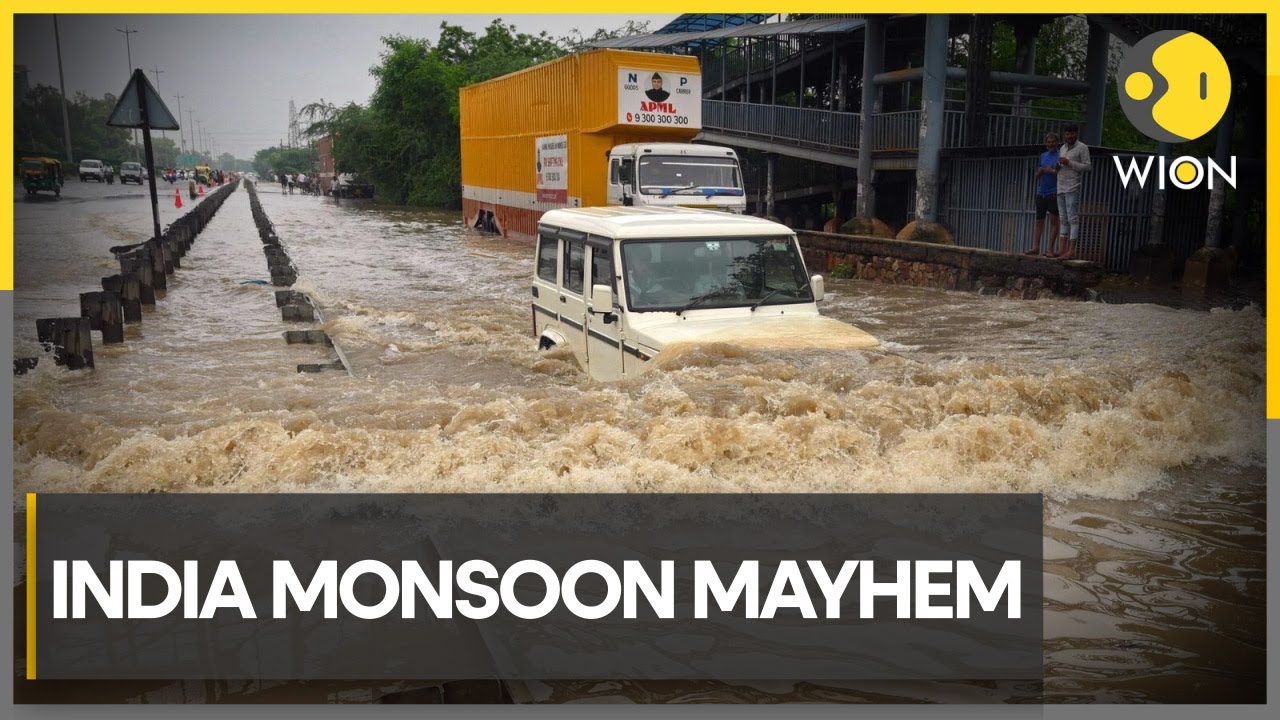 Intense monsoon fury devastates north India, causing casualties & disruptions | WION Climate Tracker