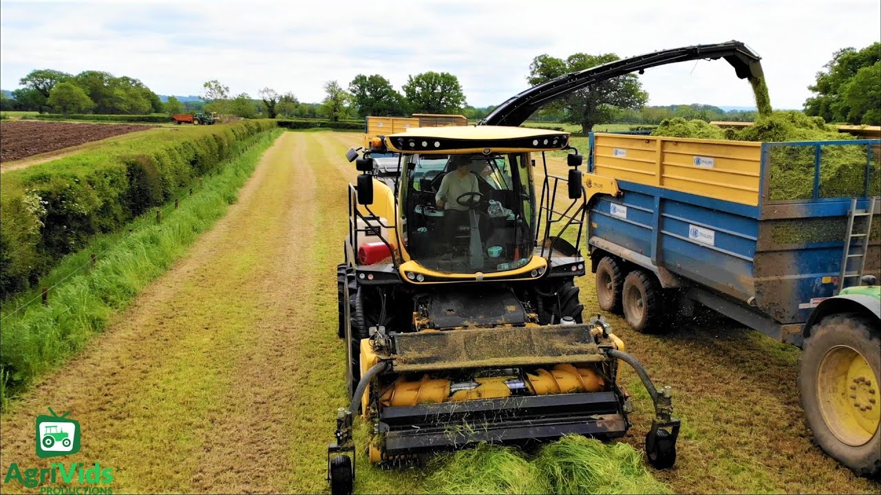 Big Swaths. New Holland Fr920 Forager