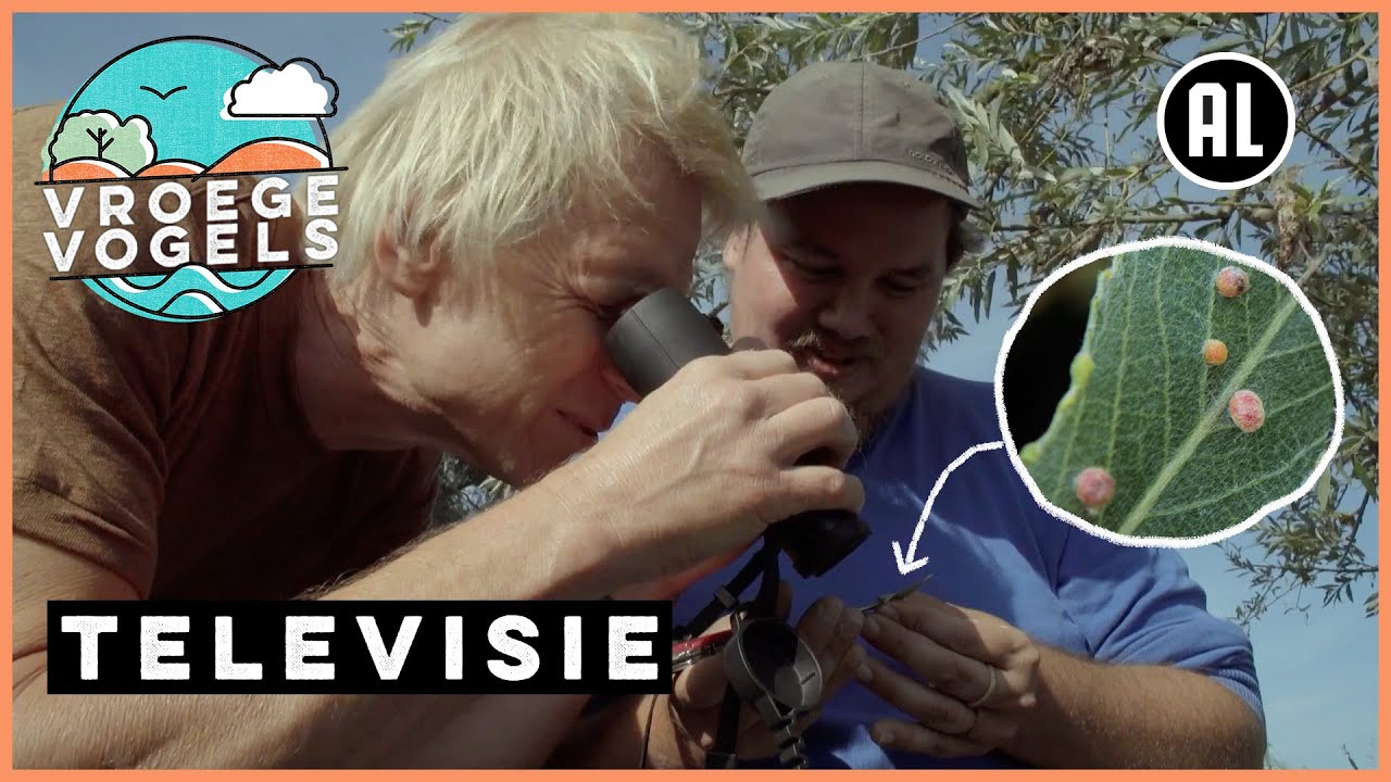 Gallen zoeken in de Blauwe Kamer | TV | Vroege Vogels
