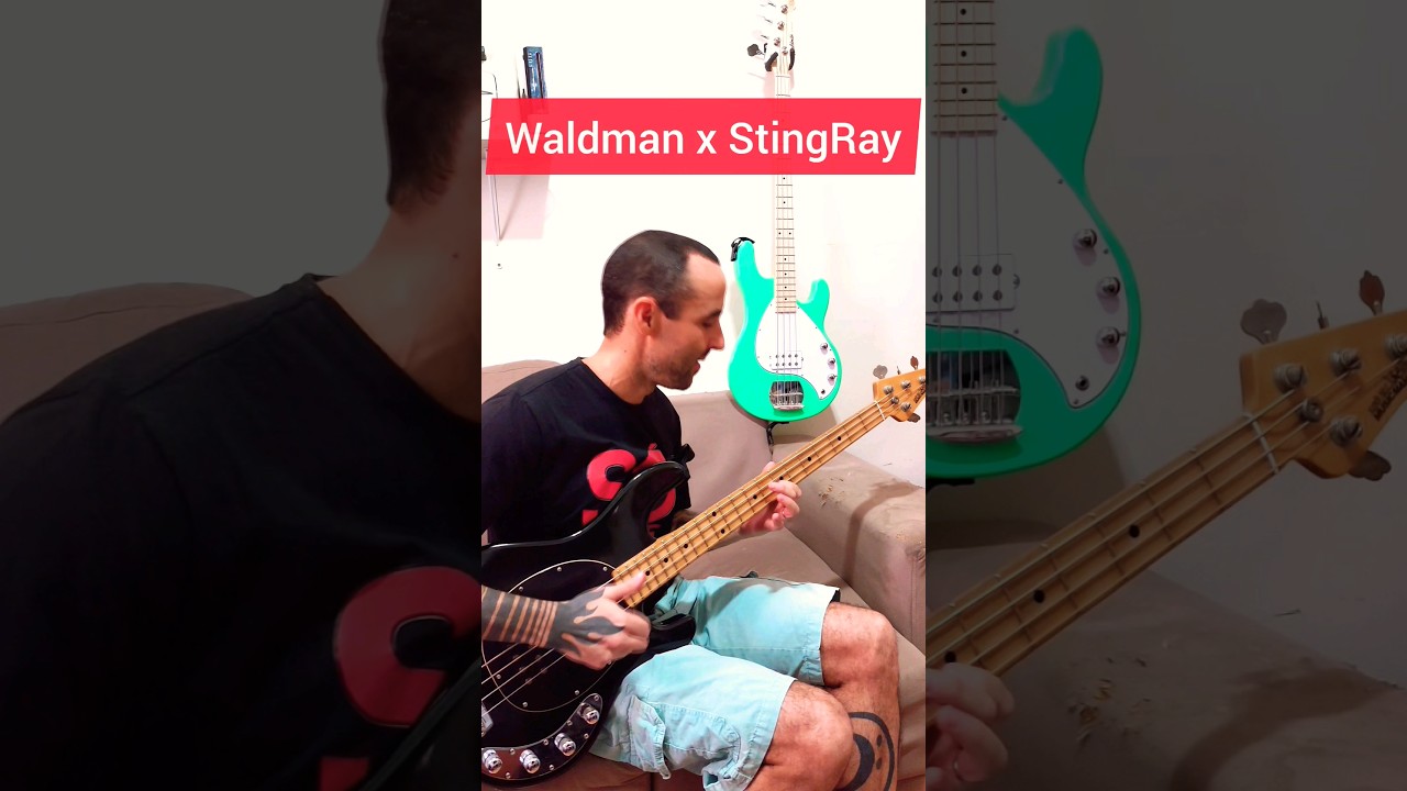 Waldman x StingRay (Music Man)