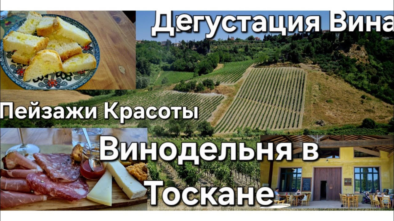 #Италия Путешествие по Тоскане#Экскурсия по Винодельне Дегустация Вина и Оливкового Масло#Пейзажи