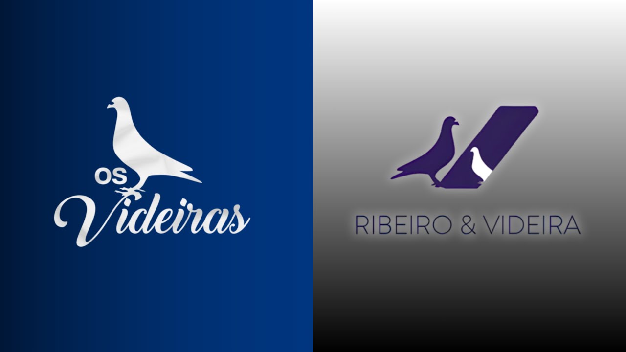 Os Videiras | Ribeiro & Videira | Columbófilia