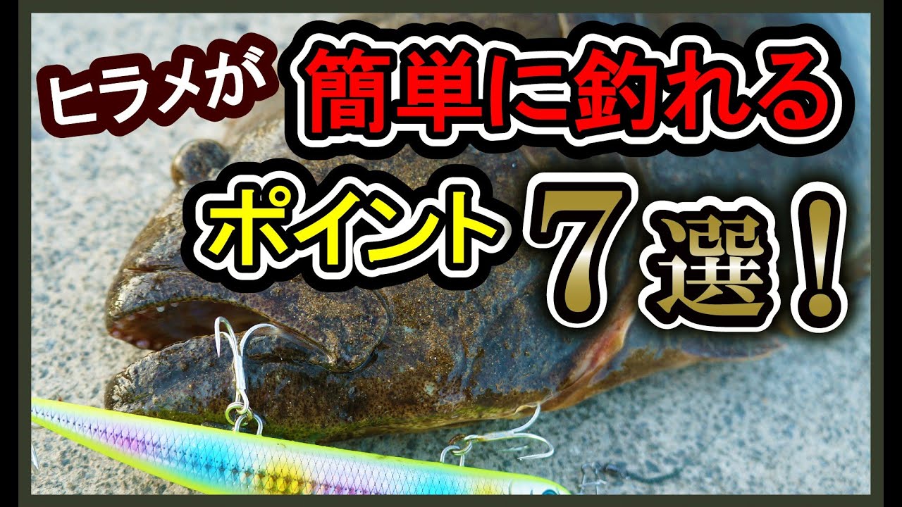 ヒラメが簡単に釣れるポイント７選！【漁港編】