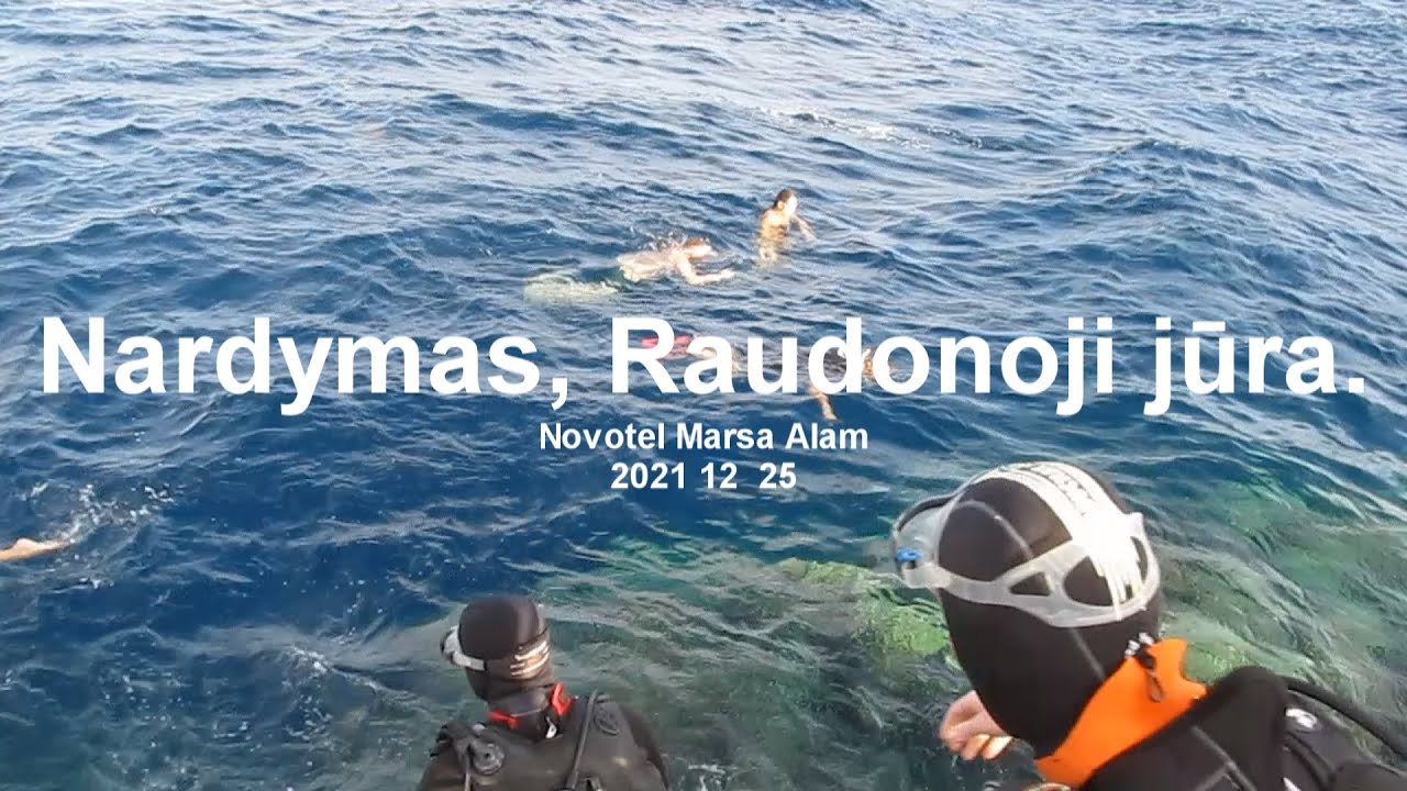 Nardymas nuo tilto, Raudonoji jūra.NOVOTEL MARSA ALAM .2021 12  25