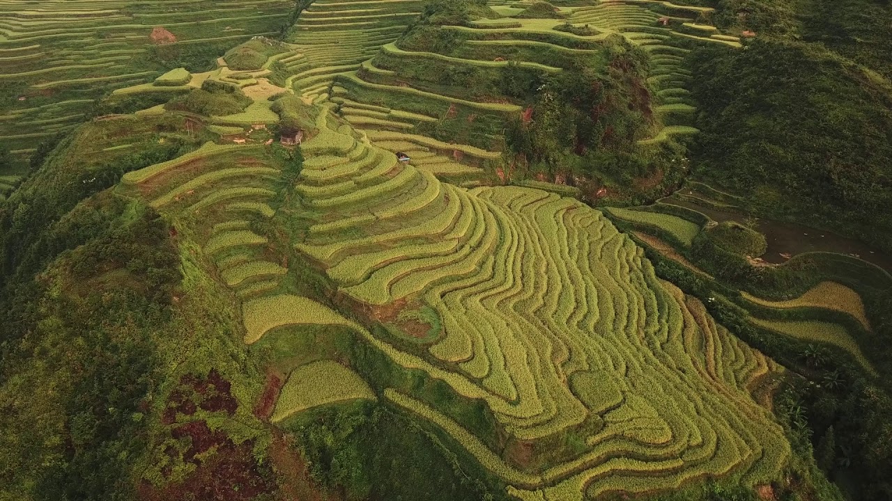jiabang rice terraces by drone