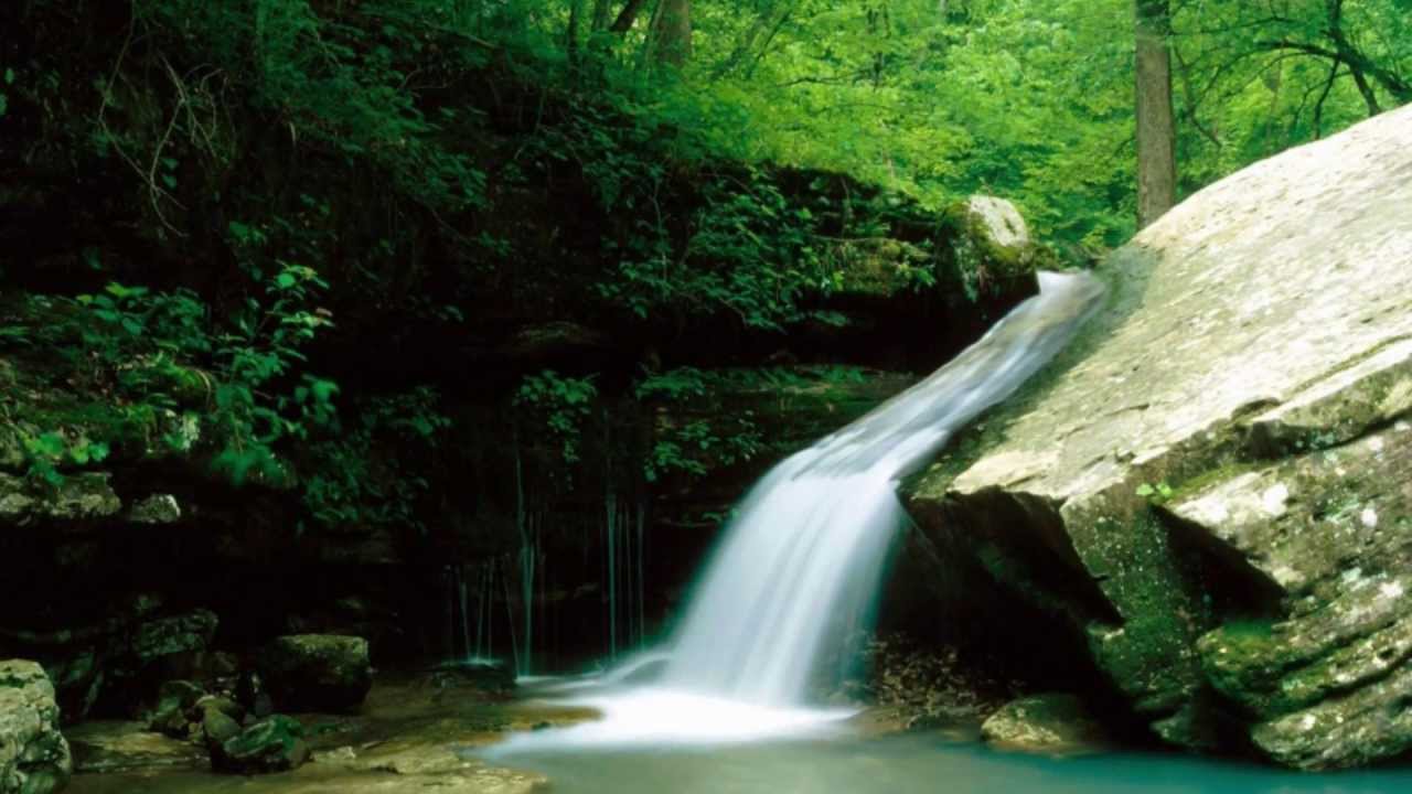 Relaxing Guitar & Instrumental with Nature scenes