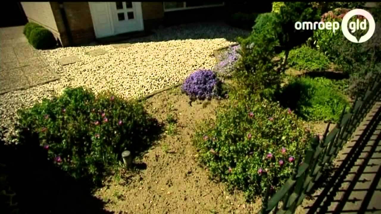 Zomer in Gelderland 7 augustus 2014