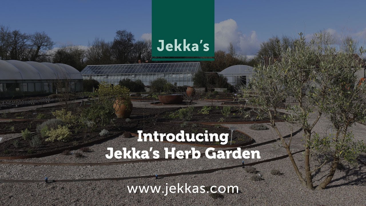 Introducing Jekka's Herb Garden