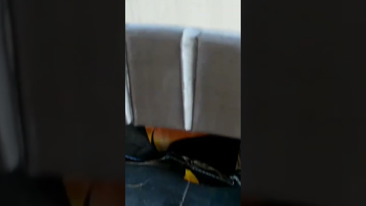 Расположение мангала из кирпича на даче 