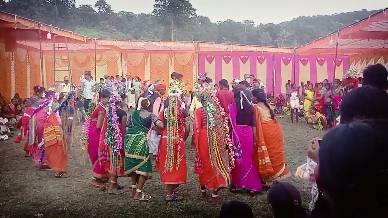 नंगा बैगा नंगा बैगन ग्राम हीरापुर🙏🤷