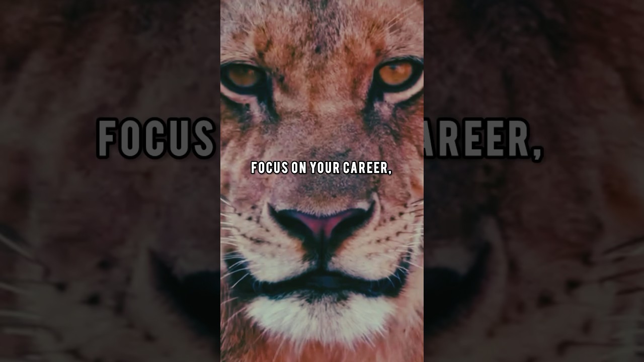 &ldquo;Love can wait, success can&rsquo;t.&rdquo; || Motivational || lion 🦁 || Powerful #shorts #motivationalquotes