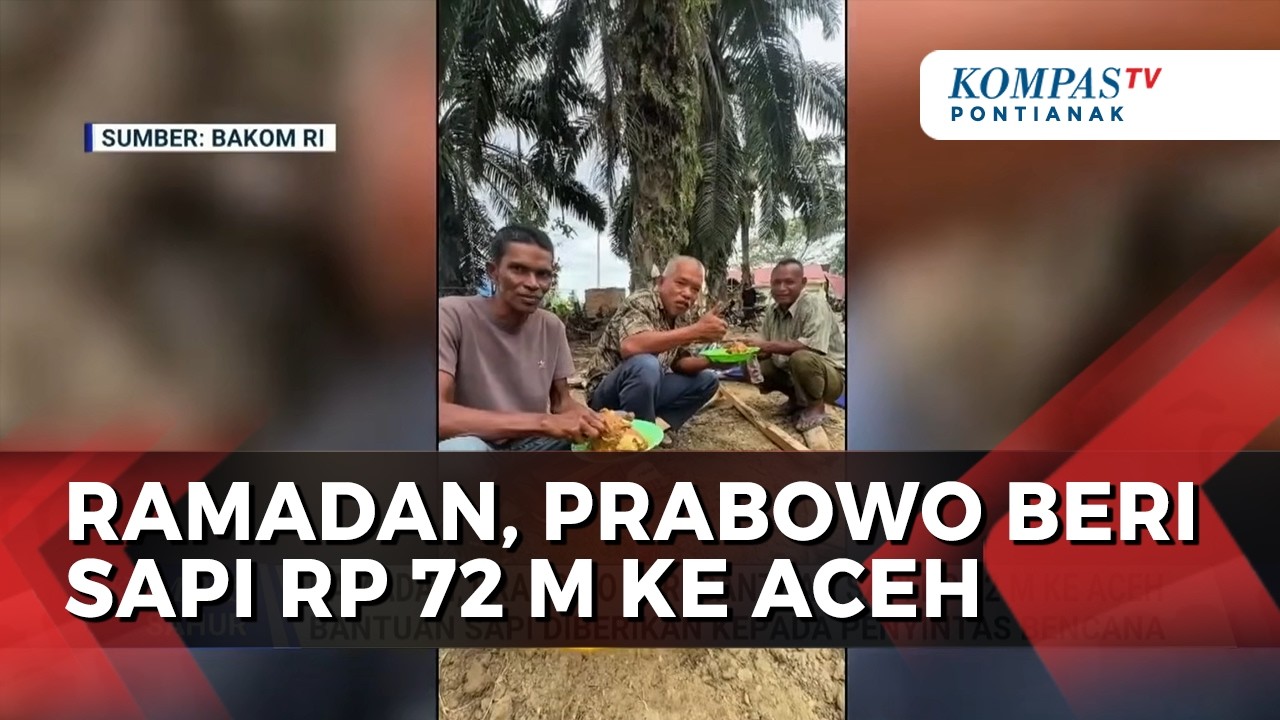 Jelang Ramadan, Mendagri: Presiden Prabowo Beri Bantuan Sapi Rp 72 M ke Aceh