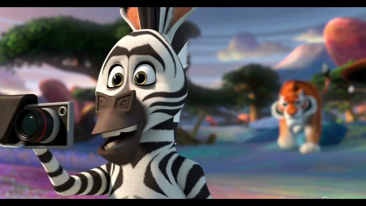 zebra on safari (zebra safaride) 🦓
