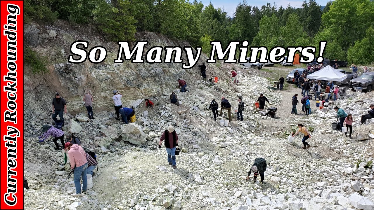 Wild Day at the Wild Turkey Mine // Digging Noble Serpentine