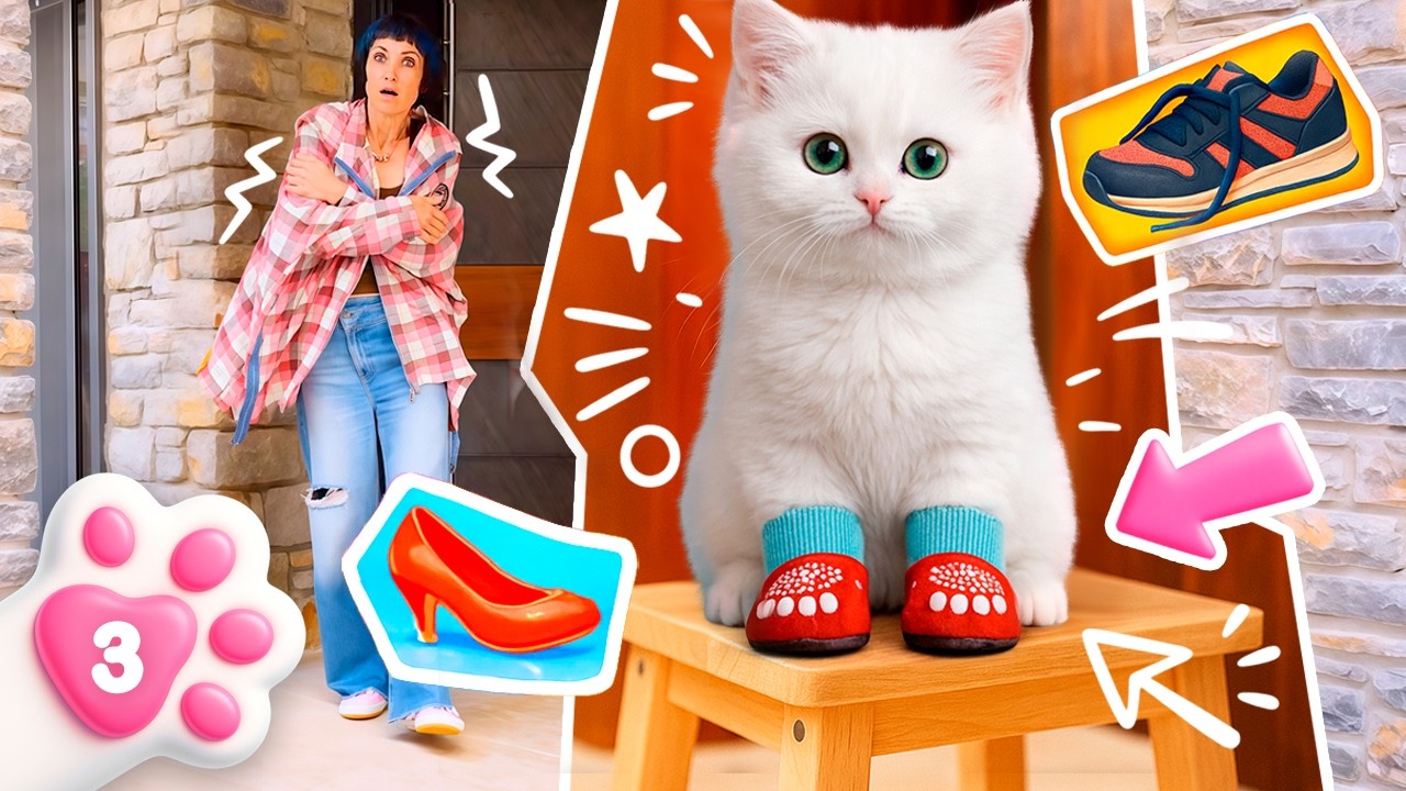 Les jolies chaussettes pour le chaton Kefir ! Vlog de maman pour enfants