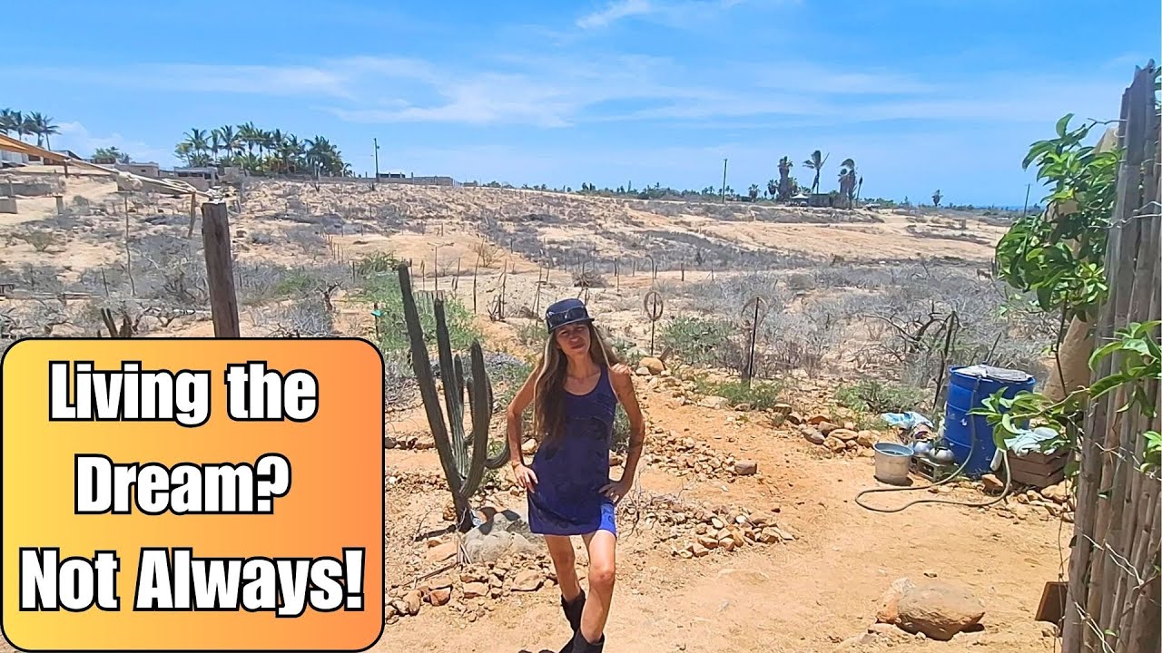 Living Off Grid: The Harsh Reality